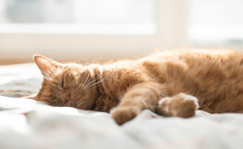 Personal Website Migration